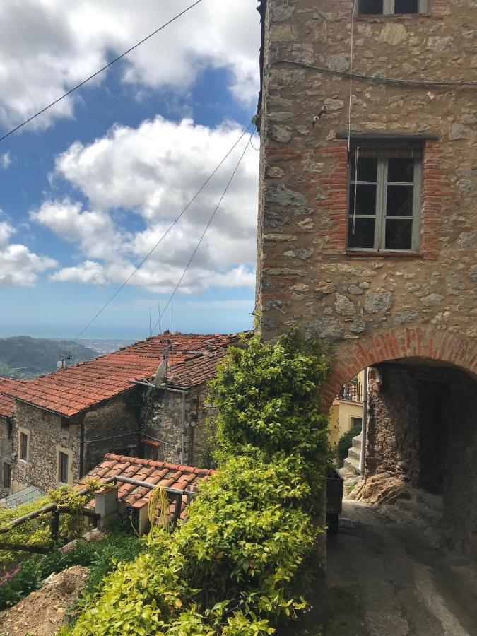 Casa Gelsomino Villa Camaiore Kültér fotó