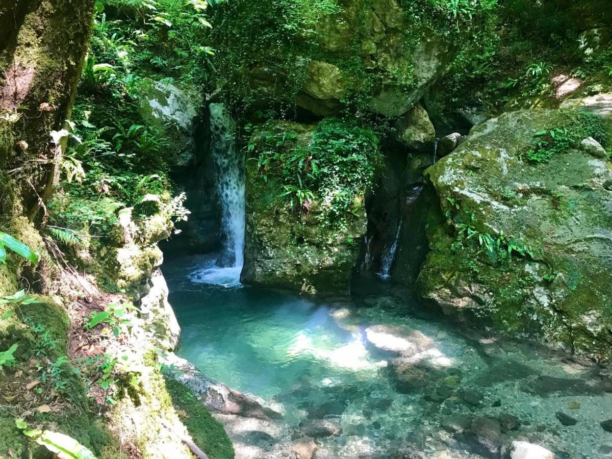 Casa Gelsomino Villa Camaiore Kültér fotó